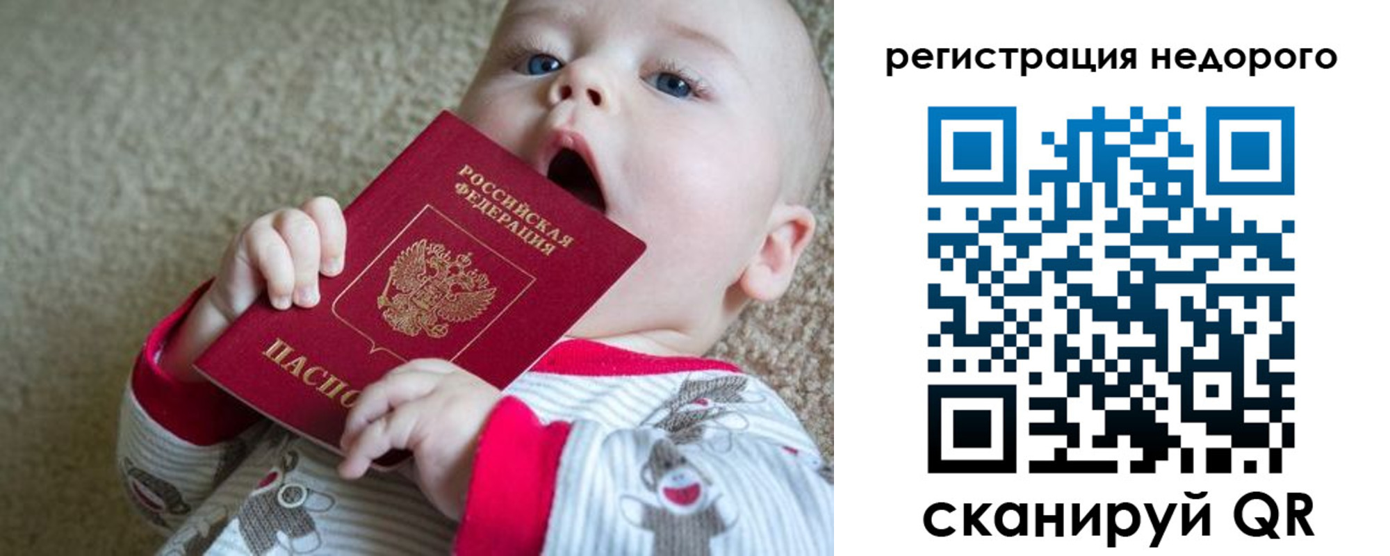 прописка для школы в Снежногорске